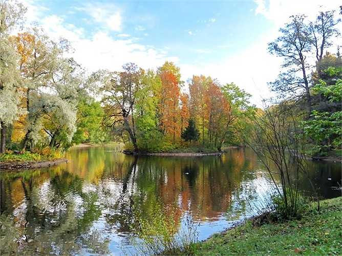 Dường như chỉ chờ đến mùa thu, lá cây mới khoe hết vẻ đẹp rực rỡ của nó