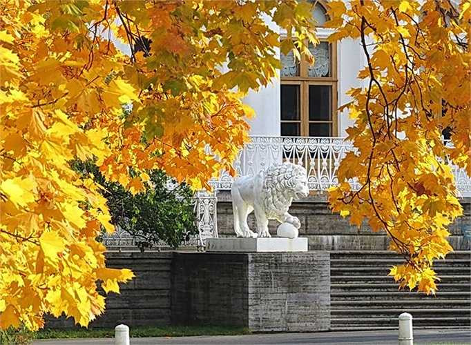 Nước Nga đẹp như một bức tranh nên thơ trữ tình từ tháng 9 đến tháng 11 hàng năm