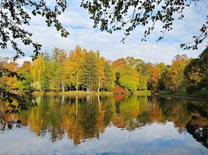 Những ánh sáng vàng trong veo và dịu ngọt