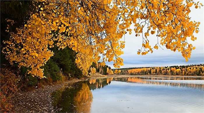 Một khung trời thu man mác