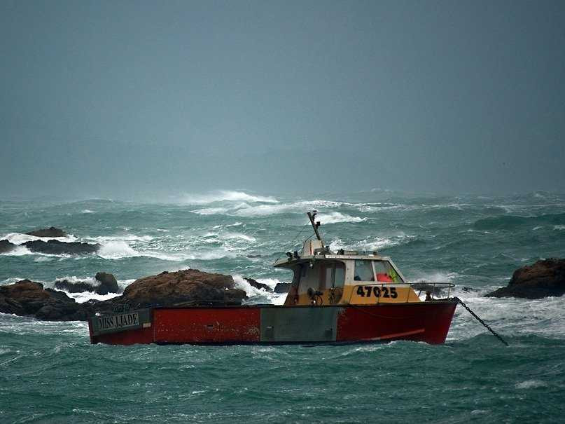 Ảnh: Flickr / Phillip Capper