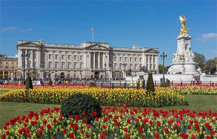 3. Nếu đã từng đến thăm cung điện Buckingham hay thấy nó trên phim ảnh, có lẽ bạn biết nó rộng lớn đến mức nào. Với diện tích 77000 mét vuông, 775 phòng, số lượng phục vụ trong gia đình Hoàng gia lên tới 800 người bao gồm quản gia, đầu bếp, người giúp việc, an ninh và thậm chí là nhân viên quản lí đồng hồ.
