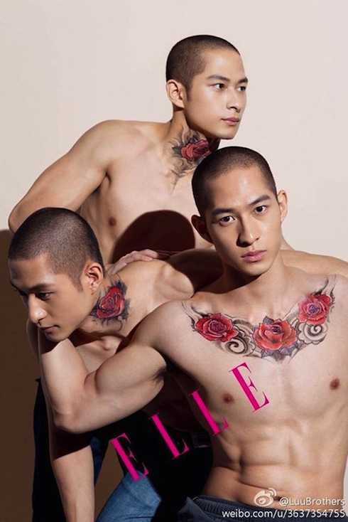 Ba anh em họ Lưu sinh năm 1987 tại Canada. Bố là người Hoa còn mẹ là người Việt Nam.