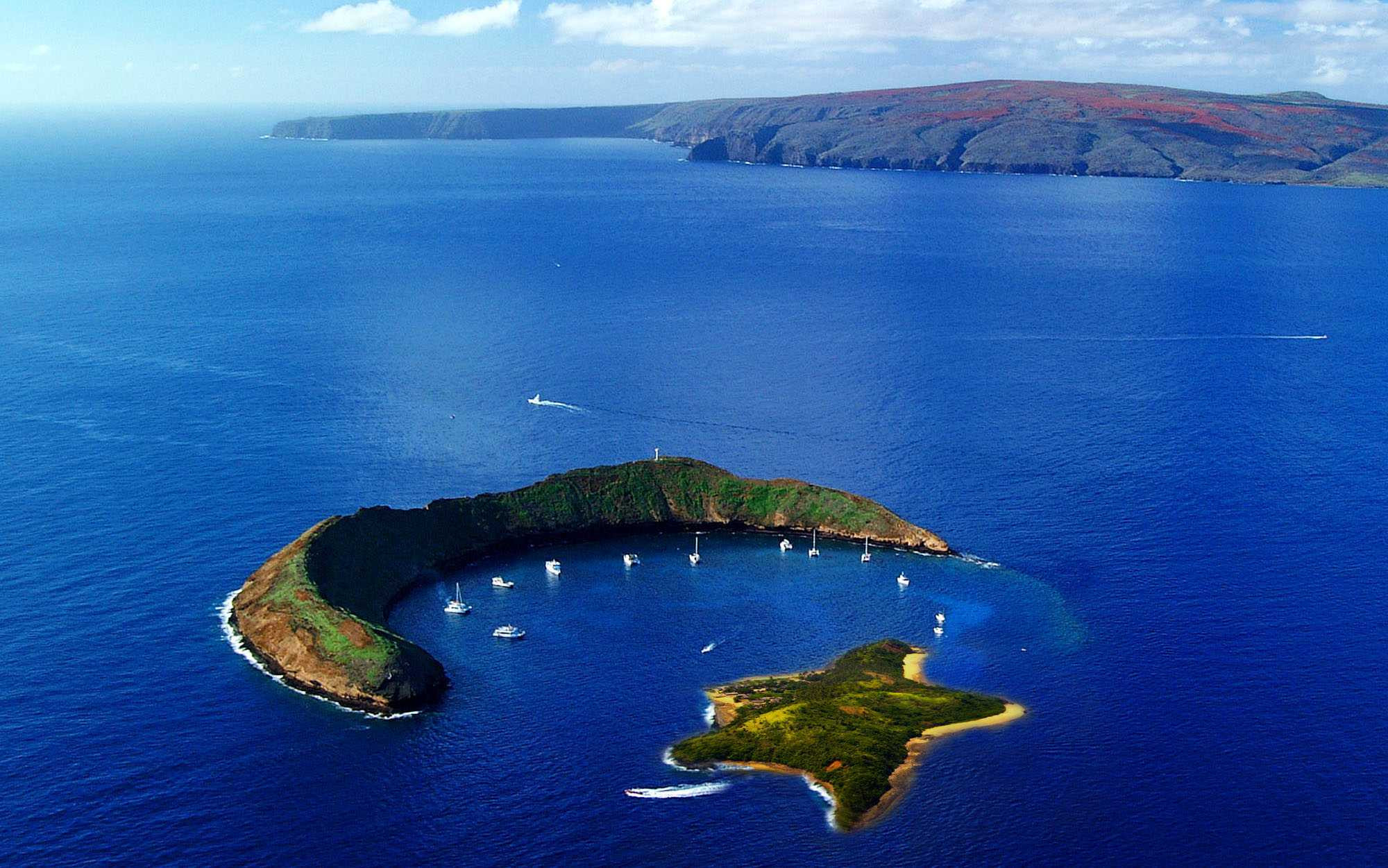 11 bức ảnh 'lừa tình' làm cư dân mạng tin 'sái cổ'