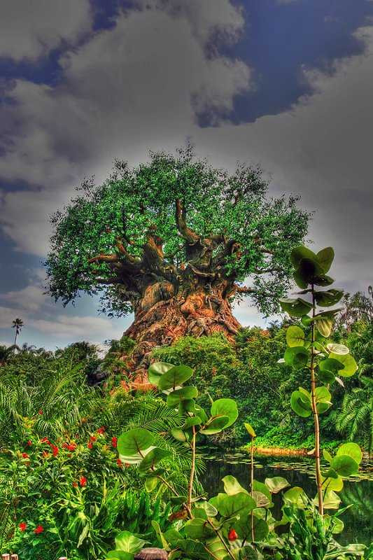 11 bức ảnh 'lừa tình' làm cư dân mạng tin 'sái cổ'