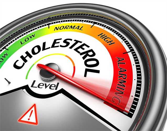 Giảm cholesterol: Các phytosterol hiện diện trong vừng giúp ngăn chặn sự sản xuất cholesterol và do đó làm giảm mức cholesterol. Nó điều hòa nồng độ glucose và insulin trong cơ thể. 