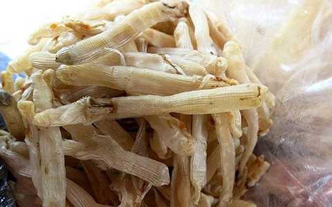 một kg sá sùng phơi khô lên đến 3,5- 4 triệu đồng/kg.