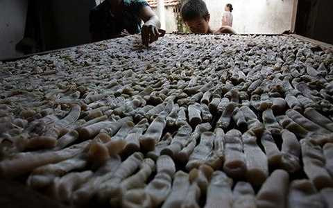  sấy bằng than trong nhiều tiếng tới khi khô