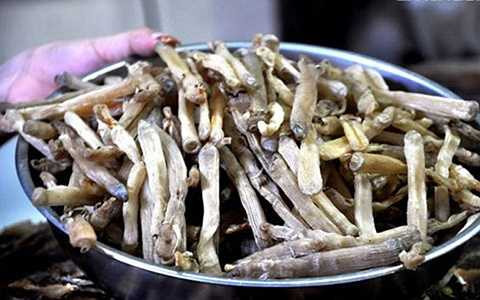  đặc sản quý hiếm tiến cống cho vua chúa