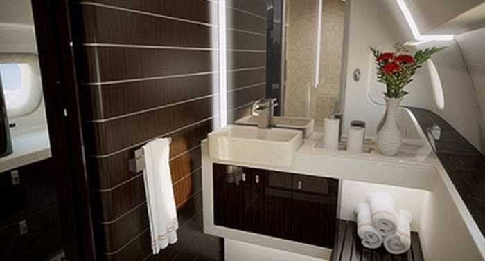 Giá cho thuê mỗi giờ bay ở mức 8.300 bảng Anh (hơn 260 triệu đồng). Lineage 1000 là một biến thể của mẫu máy bay phản lực thương mại rất thành công của Embraer là Embraer 190