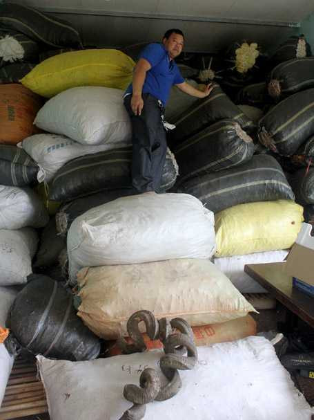 Ông lang Lục Xuân Út bên kho thảo dược khổng lồ, hàng chục tấn