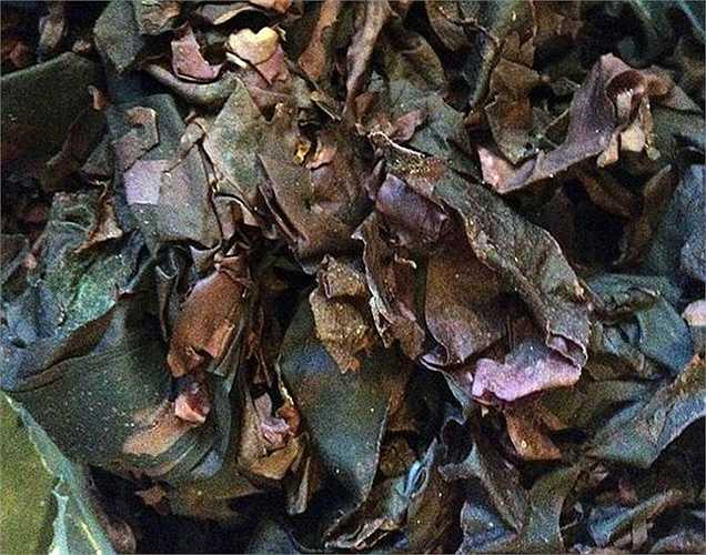 Rong biển: thảo mộc có vị thơm ngon này rất giàu iốt. Khi bạn có mức độ iốt thấp hoặc thiếu hụt, bạn sẽ bị các vấn đề về tuyến giáp. Phụ nữ mang thai nên ăn thêm rong biển vì nó giúp bảo vệ thai nhi khỏi dị tật não.
