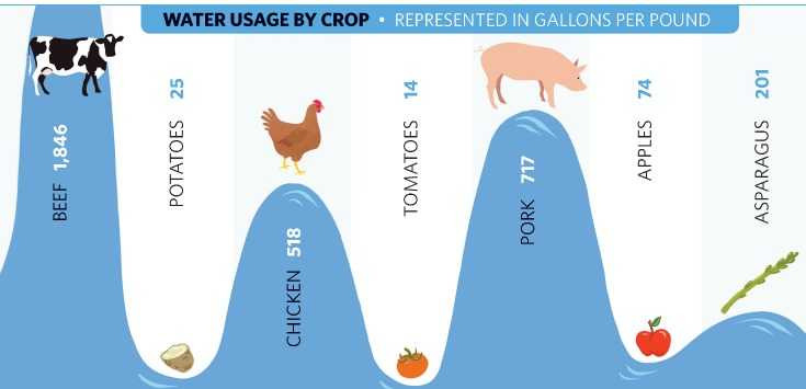 7 lý do khiến bạn lập tức quay lưng với quầy bán thịt bò