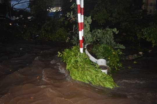 Không chỉ xe máy, những cây cổ thụ cũng bị nước cuốn phăng trên đường Nguyễn Tất Thành