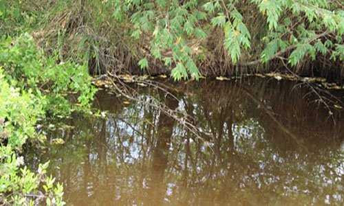 Do có mâu thuẫn với mẹ chồng, cô con dâu đã giết hại cháu ngoại của gia đình chồng rồi ném xác xuống ao phi tang (ảnh minh hoạ).