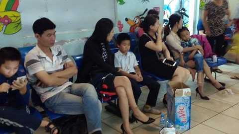 Ong gì đã tấn công 51 học sinh trường tiểu học Yên Sở, Hà Nội?