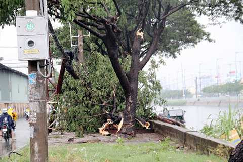 TP HCM, Giông lốc, mưa lớn, đường ngập, cây gãy đổ, tốc mái
