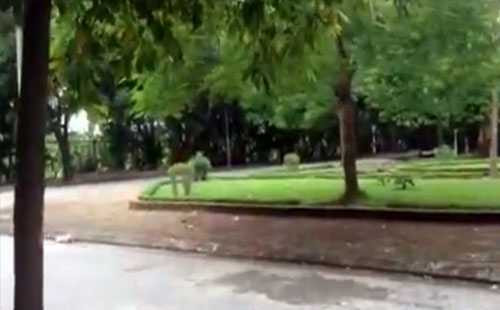 Cháu T bị bắt cóc khi đang chơi cùng bạn ở khu vực gần nhà.