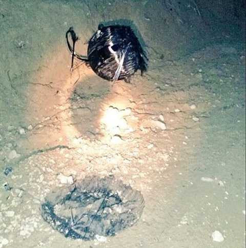 Nghi vấn về nguồn gốc của chiếc phi thuyền này đang khiến người ta tò mò