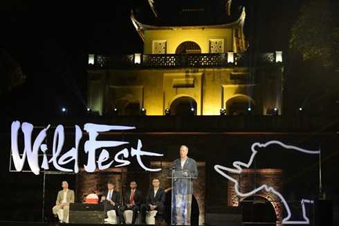 Sự kiện WildFest chủ nhật 8/11
