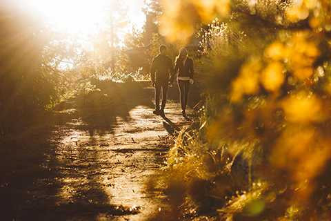 Sau khi thực hiện bộ ảnh cưới tại Đà Nẵng, Lương Thế Thành và Thúy Diễm đã lên đường sang Mỹ để tiếp tục chụp ảnh cưới. Hình ảnh cặp đôi nắm tay nhau trong ánh chiều vàng đẹp lung linh khiến người xem thích thú. 