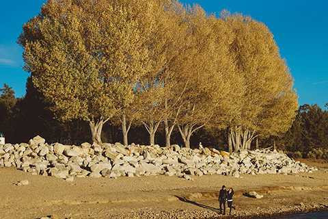 Mong muốn thực hiện được bộ ảnh cưới thật đẹp nên đôi vợ chồng trẻ đã bay tận sang Mỹ để biến ước mơ thành sự thật.