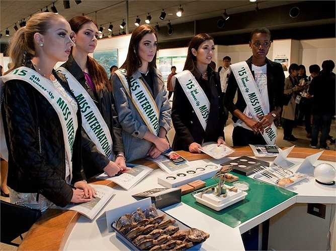 Công ty Mikimoto – chủ sở hữu của hòn đảo xinh đẹp, đồng thời là nhà tài trợ chính cho Miss International 2015, đã biến nơi đây thành một điểm thu hút khách du lịch, trưng bày ngọc trai và các sản phẩm thủ công từ ngọc trai. 