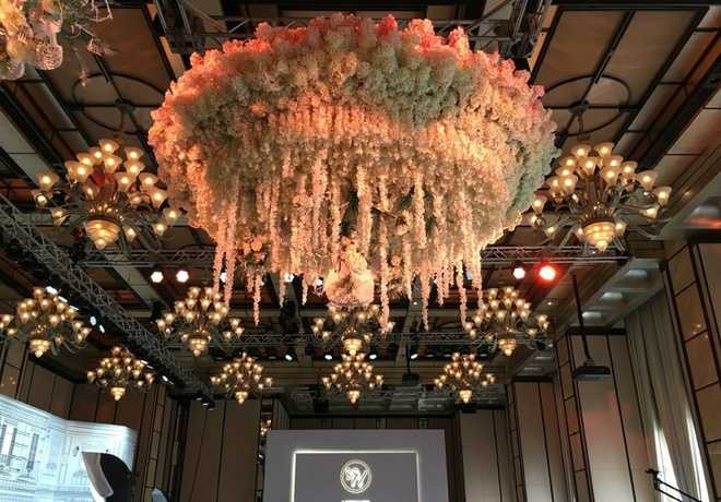 Chuyện tình chị em của tài tử Cổ Cự Cơ và nữ quản lý 45 tuổi cuối cùng đã có một kết thúc viên mãn.