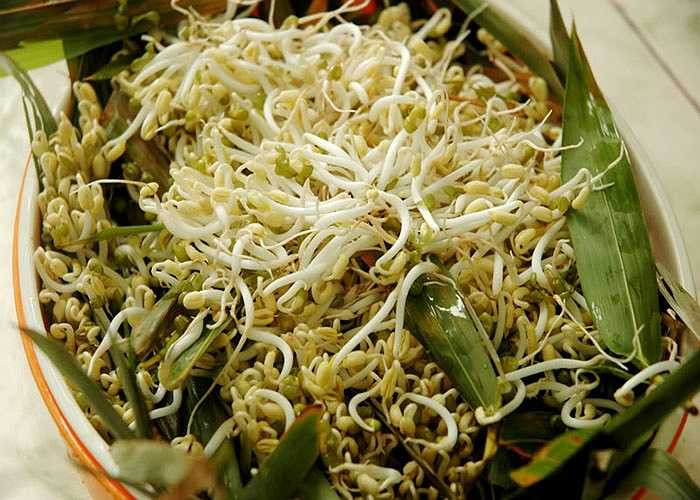 Trong giá đỗ có chứa nhiều chất oxi hóa, vitamin E, vitamin C. Những chất này có tác dụng hấp thu tia tử ngoại, tẩy sạch các chấm đen trên da mặt, hạn chế nhăn và thâm, giúp da mặt bạn bớt khô, căng mịn màng trắng sáng hơn. 