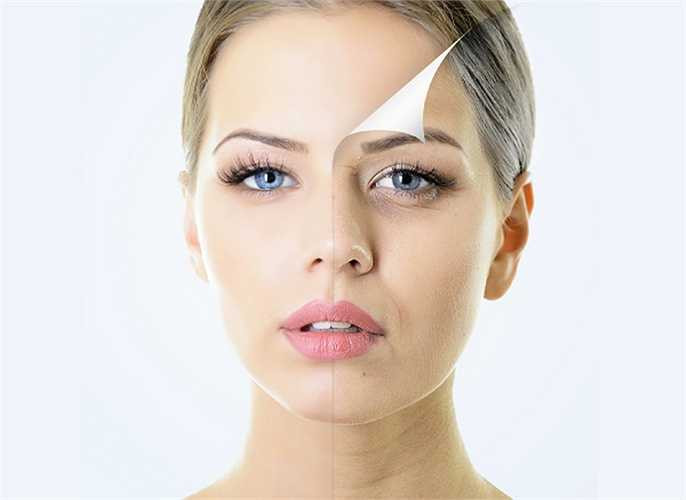 Do đó, các chuyên gia sức khỏe cho rằng giá đậu xanh sống có tác dụng kéo dài tuổi thọ, rất tốt trong những trường hợp yếu sinh lý, tốt cho sản phụ khó sinh, cho chị em mang thai, phòng tránh sẩy thai.