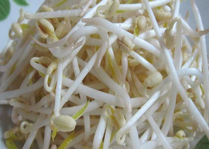 Người Nhật dùng giá đậu xanh hằng ngày như một món ăn truyền thống. Có lẽ vì vậy, phụ nữ vùng Kyodo có tỷ lệ estrogen (nội tiết tố sinh dục nữ) cao hơn nhiều so với phụ nữ phương Đông khác, 'chống' lại một cách có hiệu quả những rối loạn kinh nguyệt, làm chậm quá trình mãn kinh và kéo dài được tuổi thanh xuân.