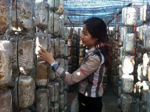 Nữ tỷ phú 8x bên cơ sở sản xuất nấm của mình Nữ tỷ phú 8x bên cơ sở sản xuất nấm của mình