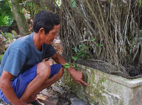 Chậu cây vỡ lộ ra những viên gạch cổ Chậu cây vỡ lộ ra những viên gạch cổ