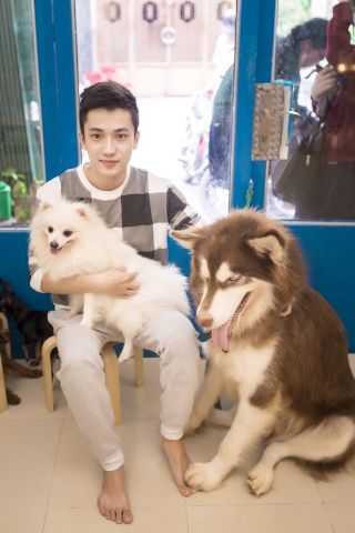 Truy bắt kẻ máu lạnh đang tâm hạ độc 15 chú chó mèo vô tội