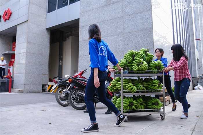 Tùng Đinh/Thực hiện