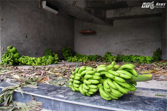 Mỗi buồng được bán với giá 60.000 đồng, quả to đều và còn xanh