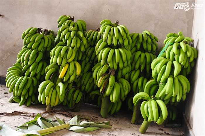 Trong đó có nhiều khách hàng mua số lượng lớn cũng như khách mua lẻ