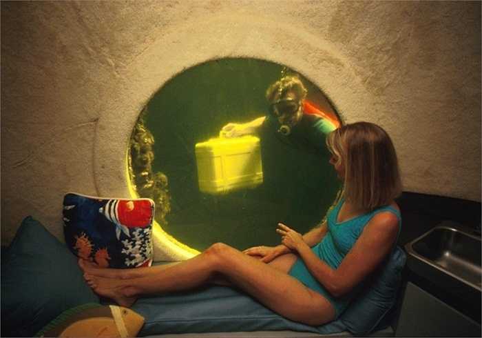 Jules’ Undersea Lodge ở Key Largo, bang Florida, Mỹ là khách sạn dưới biển độc đáo. Du khách có thể ngắm nhìn sinh vật biển từ cửa kính mọi căn phòng. Khách sạn cũng cung cấp dịch vụ lặn biển, khám phá đời sống thủy sinh.