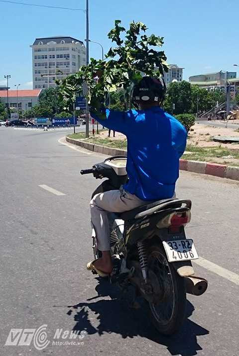 ‘Nhận định chung là mùa đông 2015/2016 sẽ tiếp tục là một mùa đông ấm, ít ngày rét’, Trung tâm Khí tượng Thủy văn Trung ương khẳng định.