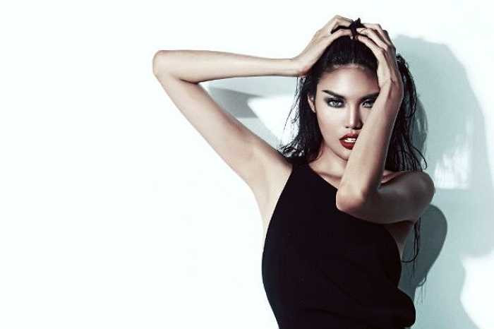 Lan Khuê từng là một người mẫu nổi tiếng với phong cách cá tính, lạnh lùng cùng gương mặt sắc sảo. 