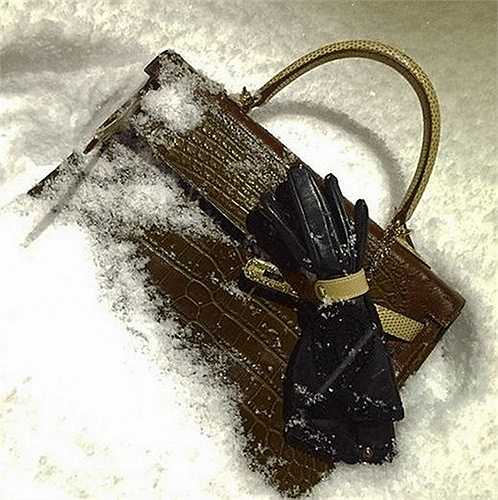  Một chiếc túi xách hàng hiệu làm từ da cá sấu. Nhưng Jamie còn sở hữu khoảng 200 chiếc túi Hermes Birkin và Kelly... như vậy. Cô cũng có ngôi biệt thự với một hồ bơi, một hầm rượu và một tủ quần áo lớn. 