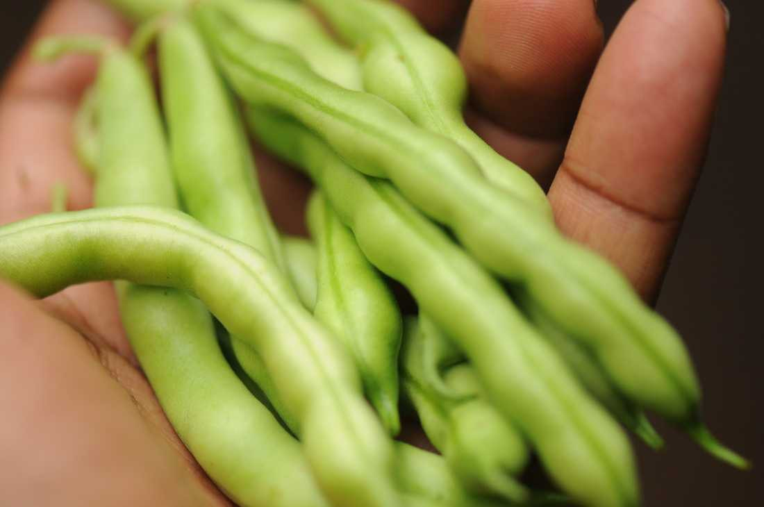 Giật mình với 8 loại rau quả phun nhiều thuốc nhất