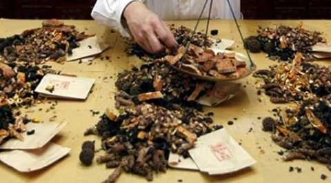 Trong Đông y có nhiều vị thuốc trị ung thư.