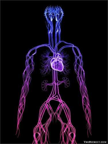 Siêu máy tính có thể cung cấp các mô phỏng 3D hệ thống tim mạch với độ phân giải cao giúp các bác sĩ tìm ra giải pháp xác định và điều trị bệnh nhân có nguy cơ đột quỵ, suy tim hiệu quả hơn so với trước đây.