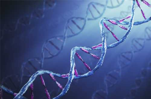 Thuận tay trái có phải là điểm trừ khiến sức khỏe xấu đi?