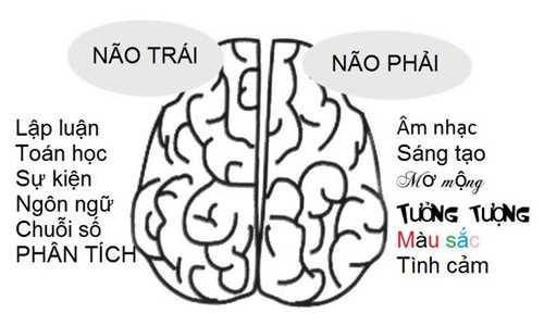 Thuận tay trái có phải là điểm trừ khiến sức khỏe xấu đi?