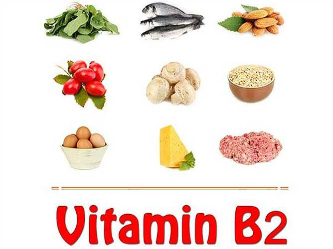 Vitamin B2: Vitamin này còn được gọi là riboflavin. Nó cần thiết cho sức khỏe tốt, phát triển bình thường và tăng tỷ lệ trao đổi chất. Lượng thường xuyên của vitamin này giúp tăng cường năng lượng và tăng cường hệ thống miễn dịch. 