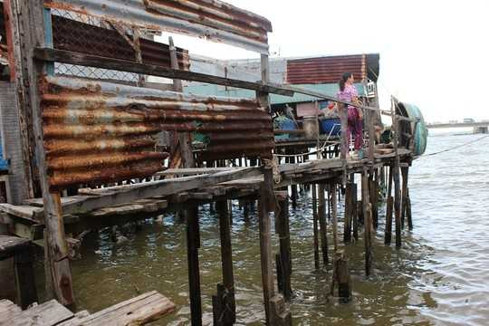 Nguy hiểm nhất là khu nhà chồ nằm ở phần rìa của bờ sông Cái gồm các tổ 4, 5, 6, 7. Những căn nhà chồ này làm theo kiểu nhà sàn, đóng cột gỗ xuống lòng sông, phía trên lát bằng ván ép, cách mặt nước chừng 1,5- 2m. Gió mạnh là nhà có thể sập, bay bất cứ lúc nào