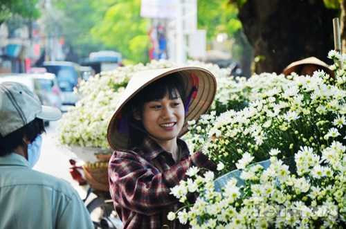 Cúc họa mi sớm nở chóng tàn nên người bán và người mua phải tranh thủ từng ngày nếu không muốn mùa cúc họa mi qua đi trong tiếc nuối.