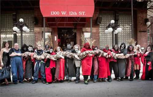 Những con vật kỳ quặc lập kỷ lục Guinness